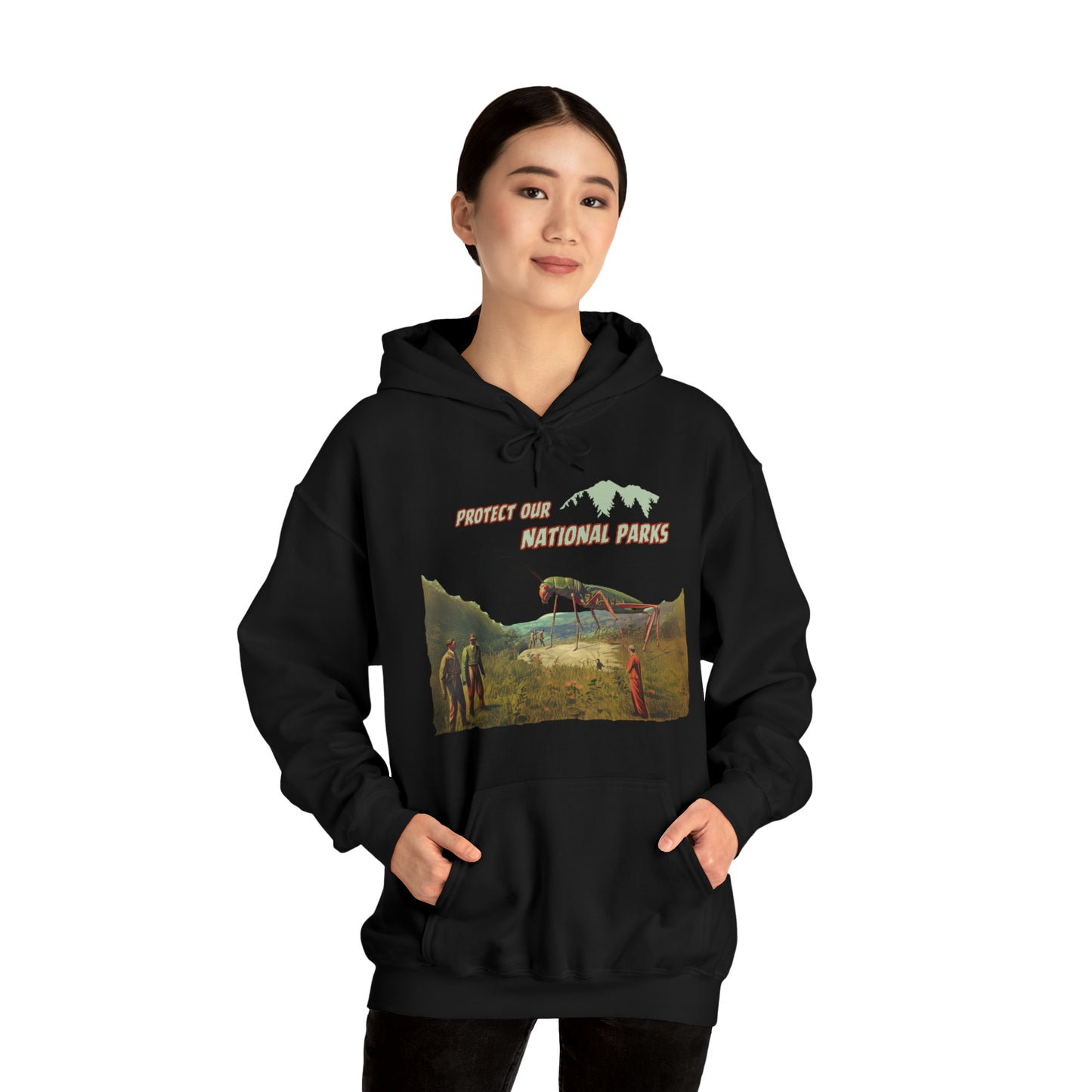 Protect Our National Parks II Pullover Hoodie