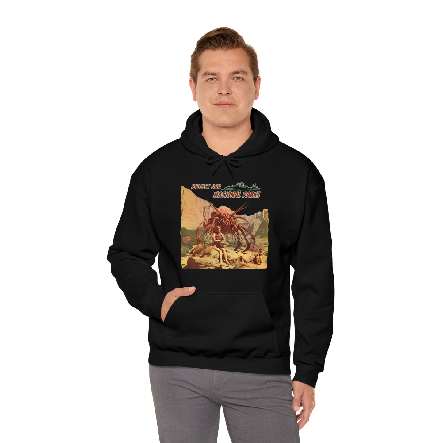 Protect Our National Parks I Pullover Hoodie