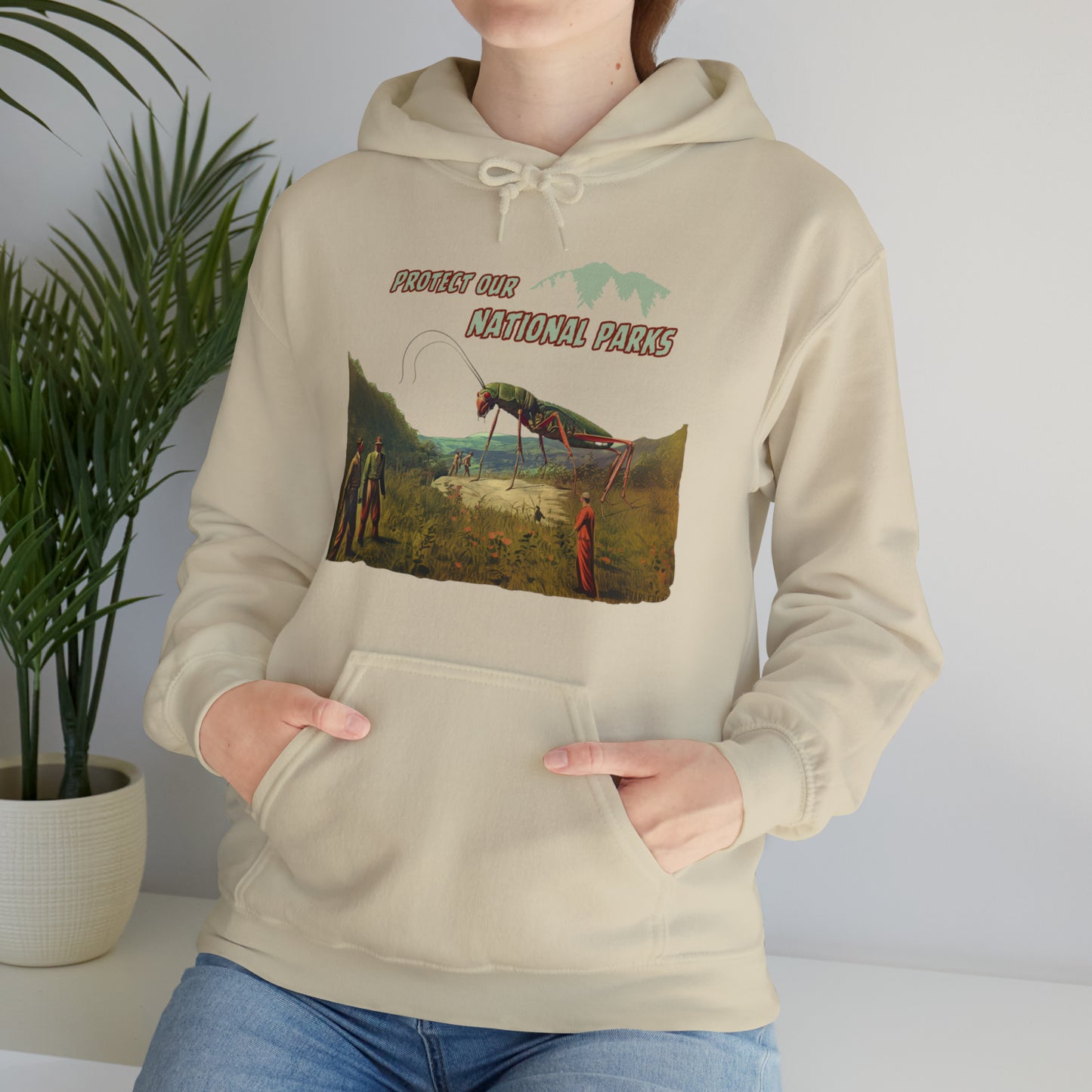 Protect Our National Parks II Pullover Hoodie