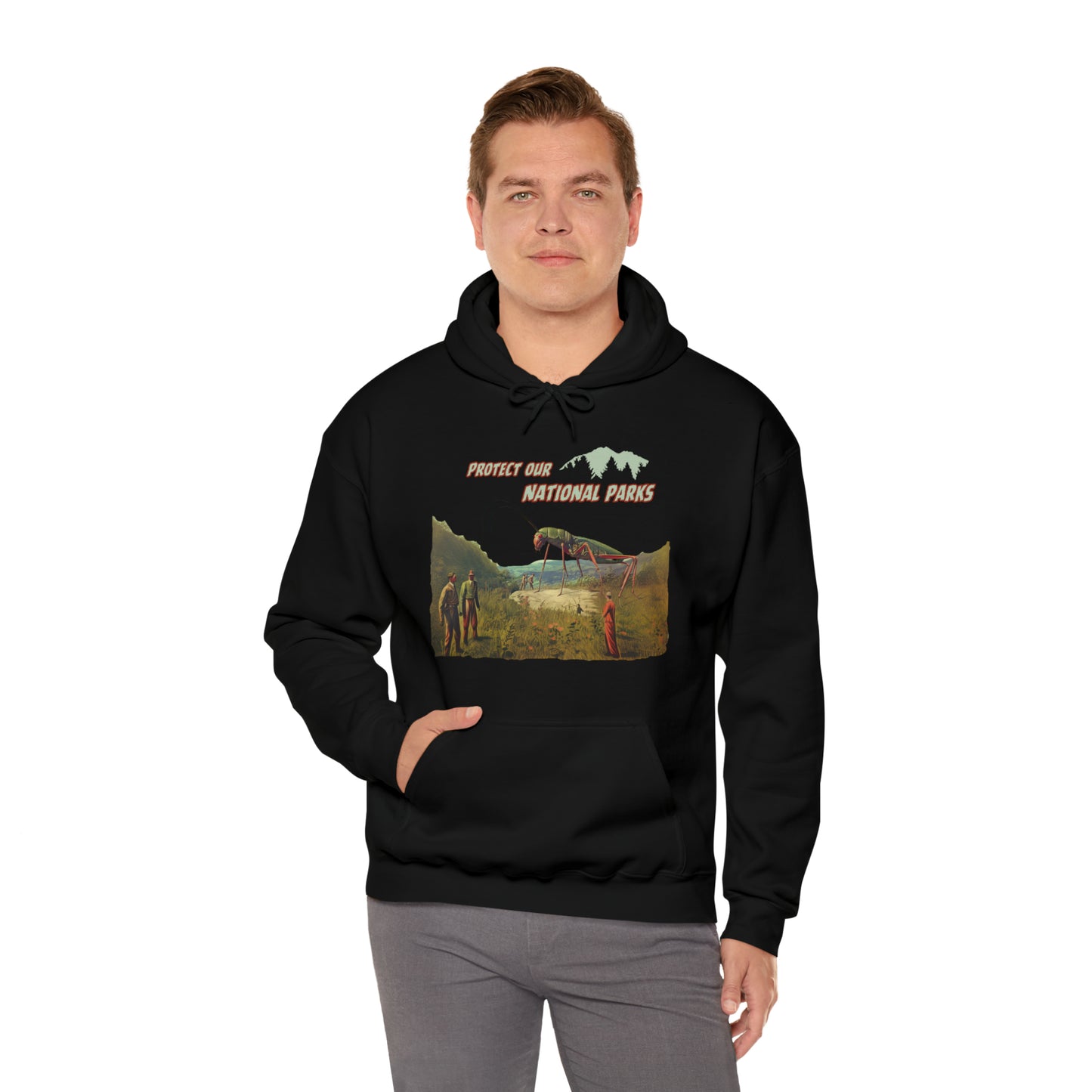 Protect Our National Parks II Pullover Hoodie