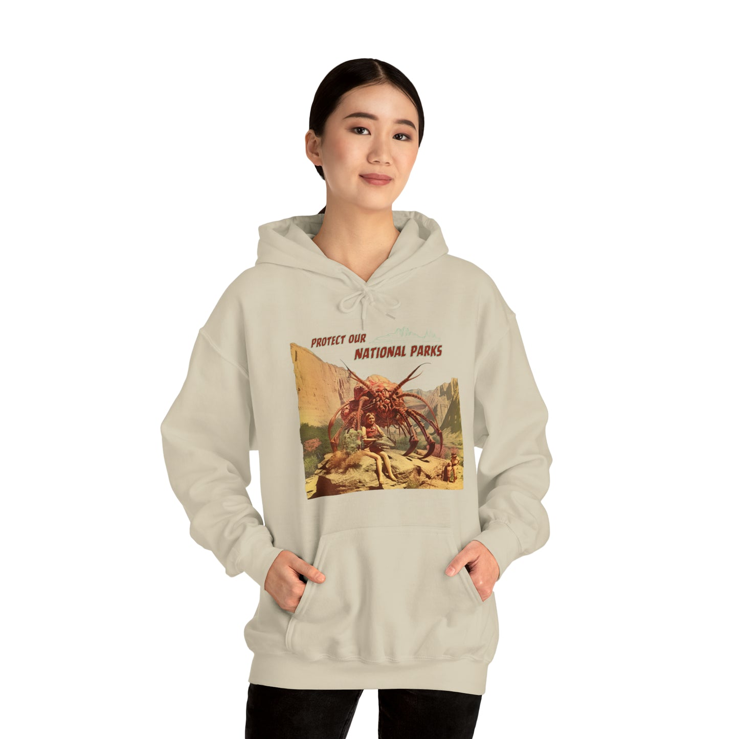 Protect Our National Parks I Pullover Hoodie