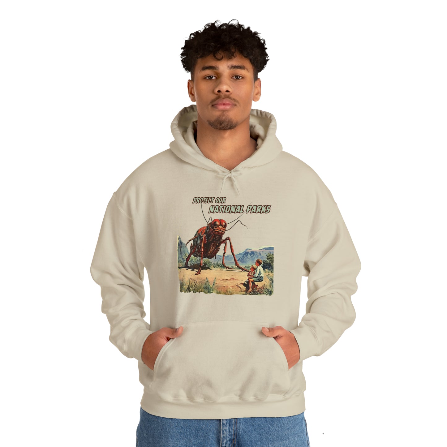 Protect Our National Parks III Pullover Hoodie