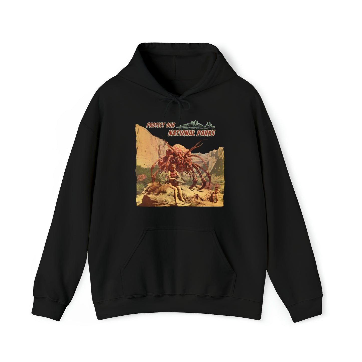 Protect Our National Parks I Pullover Hoodie