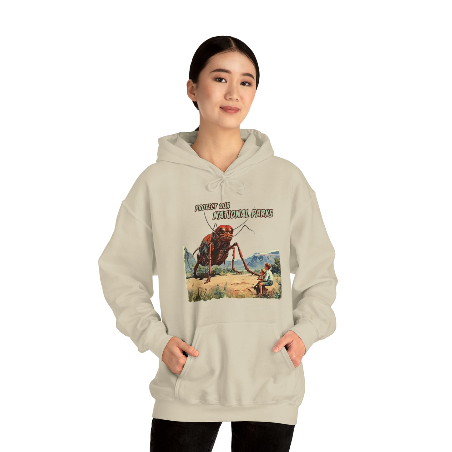 Protect Our National Parks III Pullover Hoodie