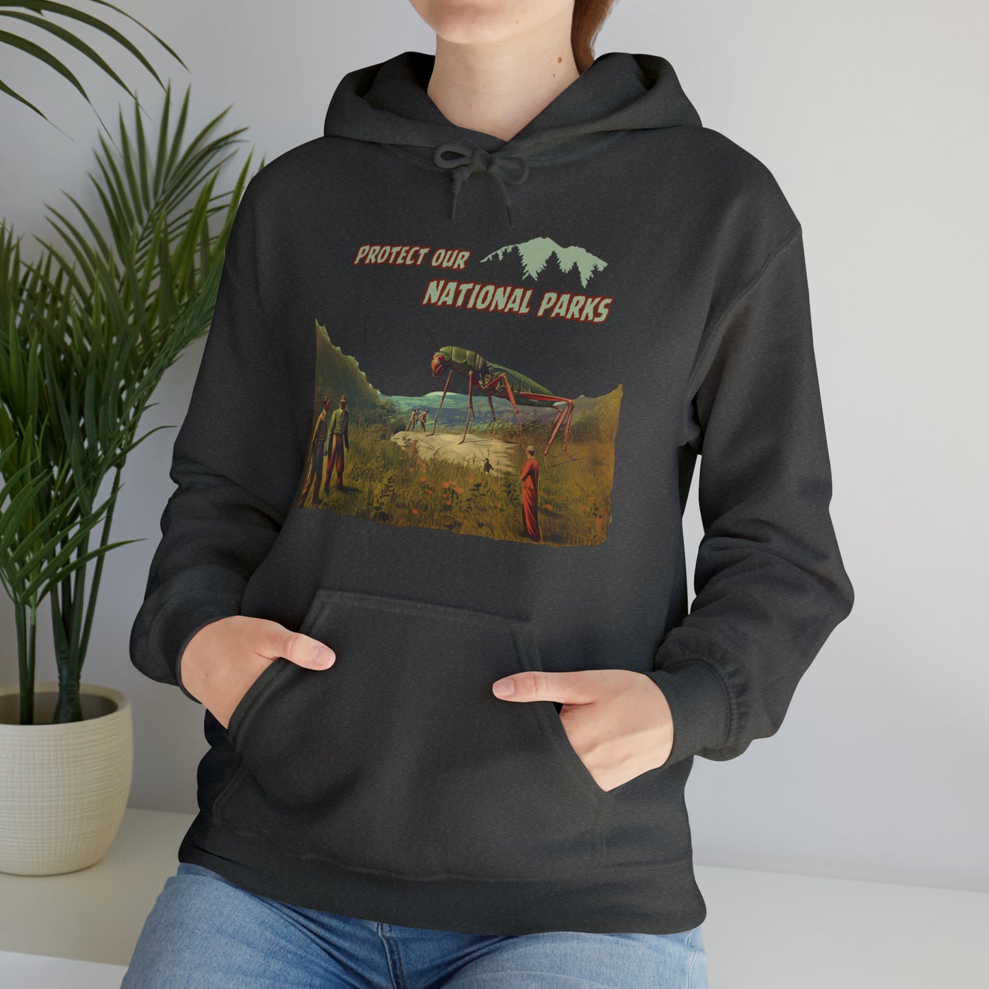 Protect Our National Parks II Pullover Hoodie