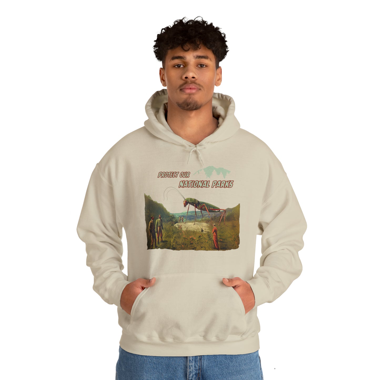 Protect Our National Parks II Pullover Hoodie