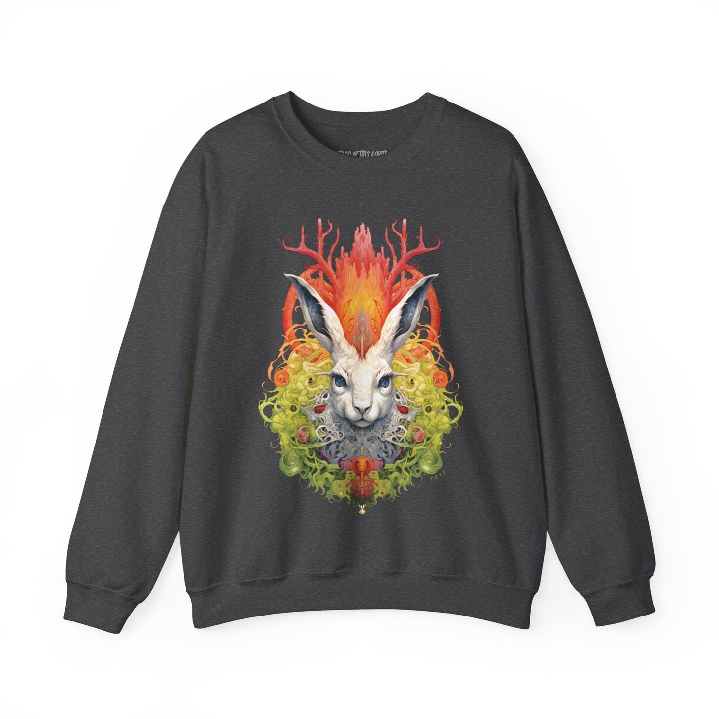 Leporine Moon Sweatshirt