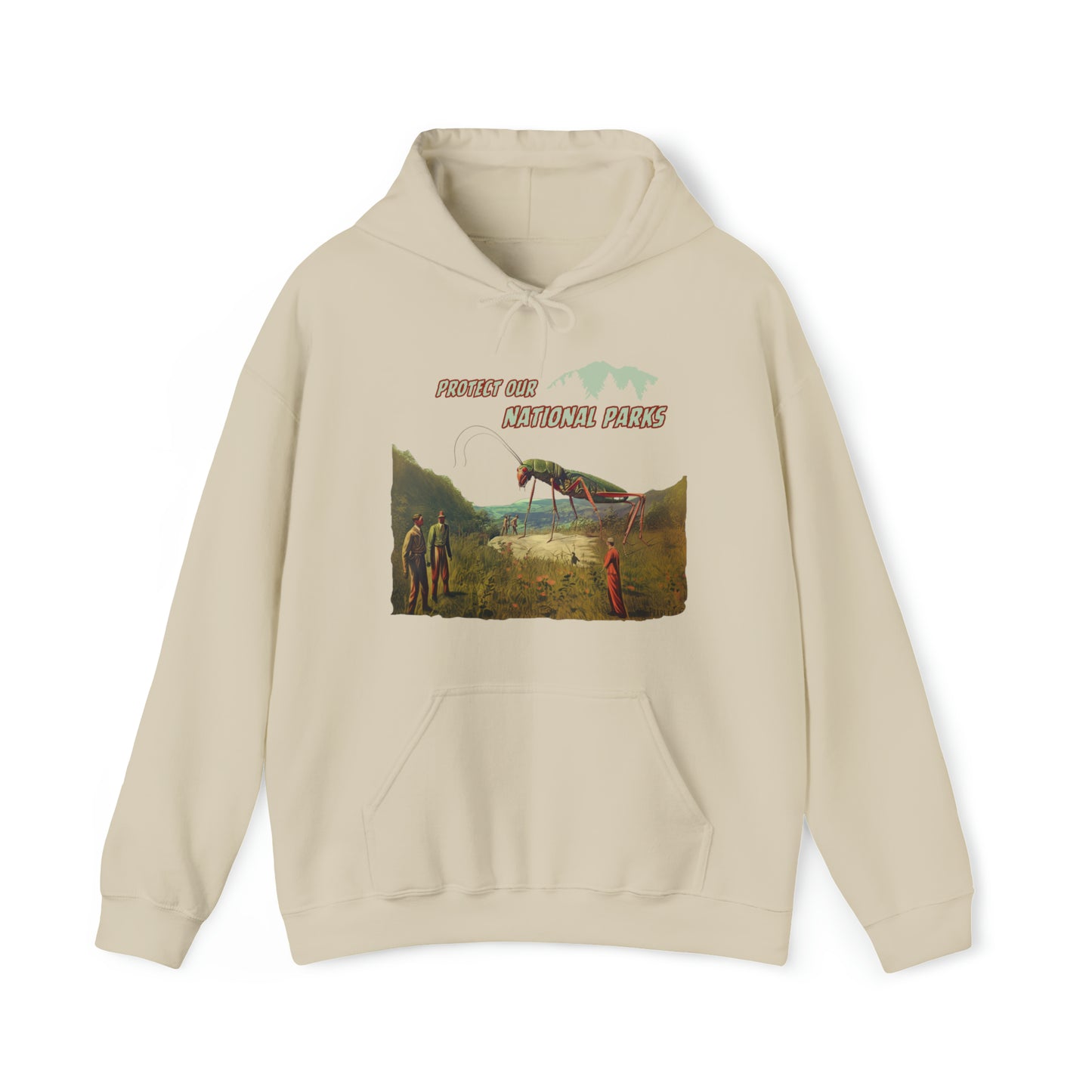 Protect Our National Parks II Pullover Hoodie