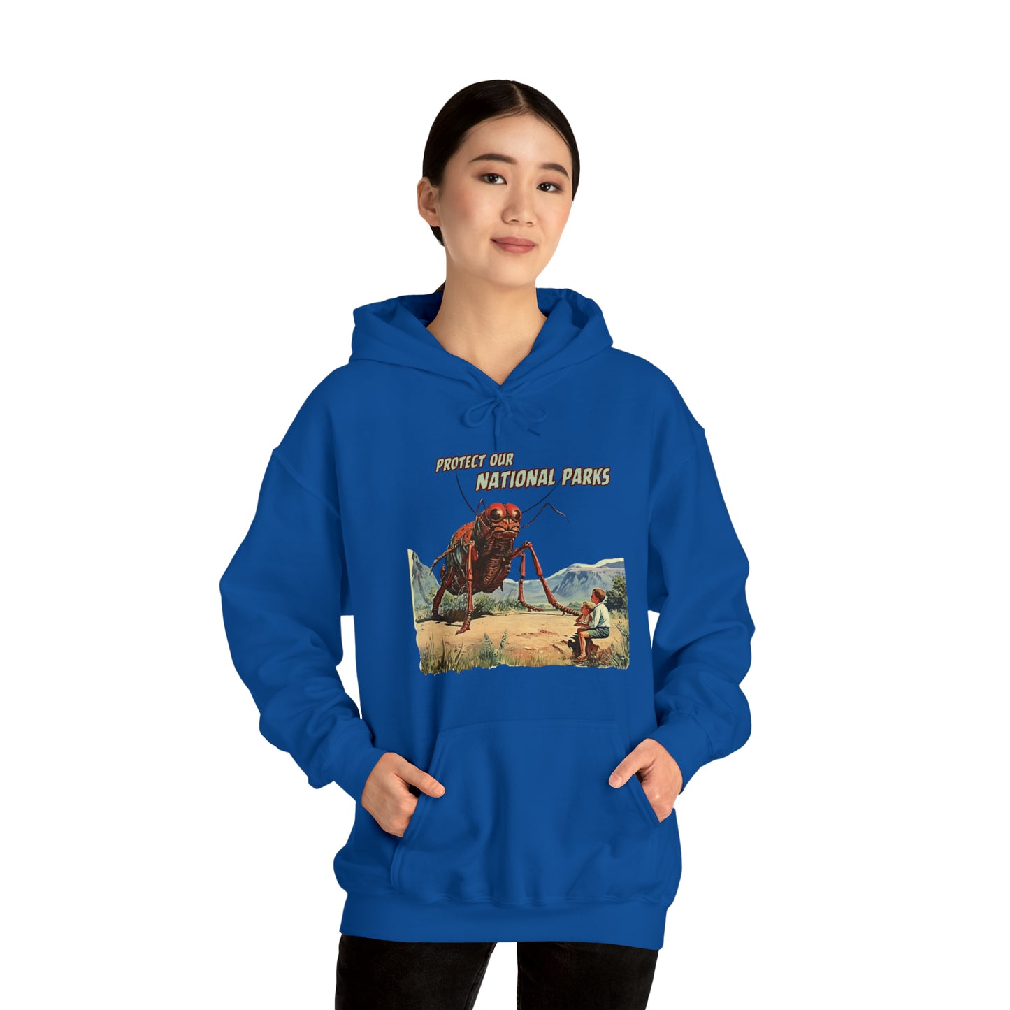 Protect Our National Parks III Pullover Hoodie