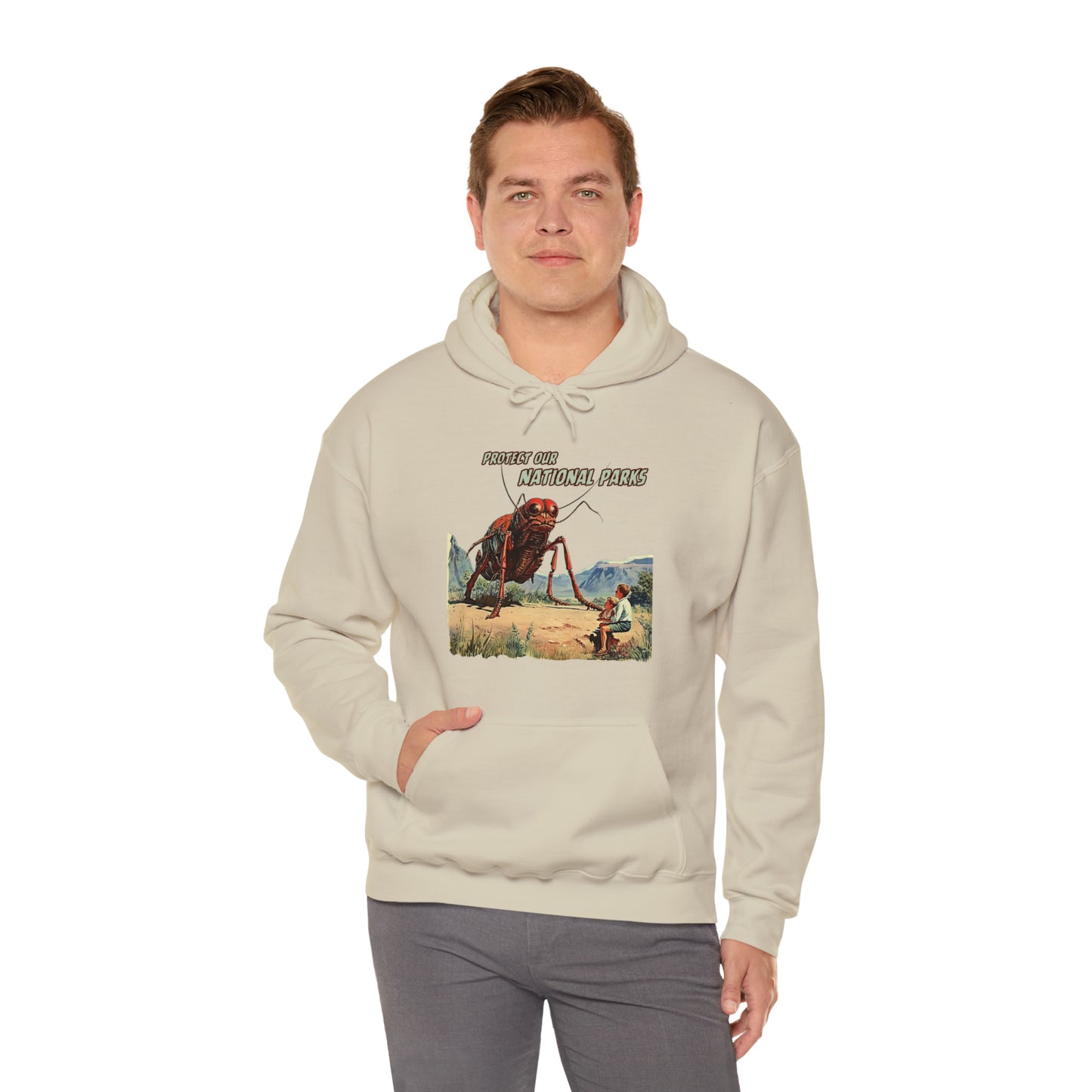 Protect Our National Parks III Pullover Hoodie