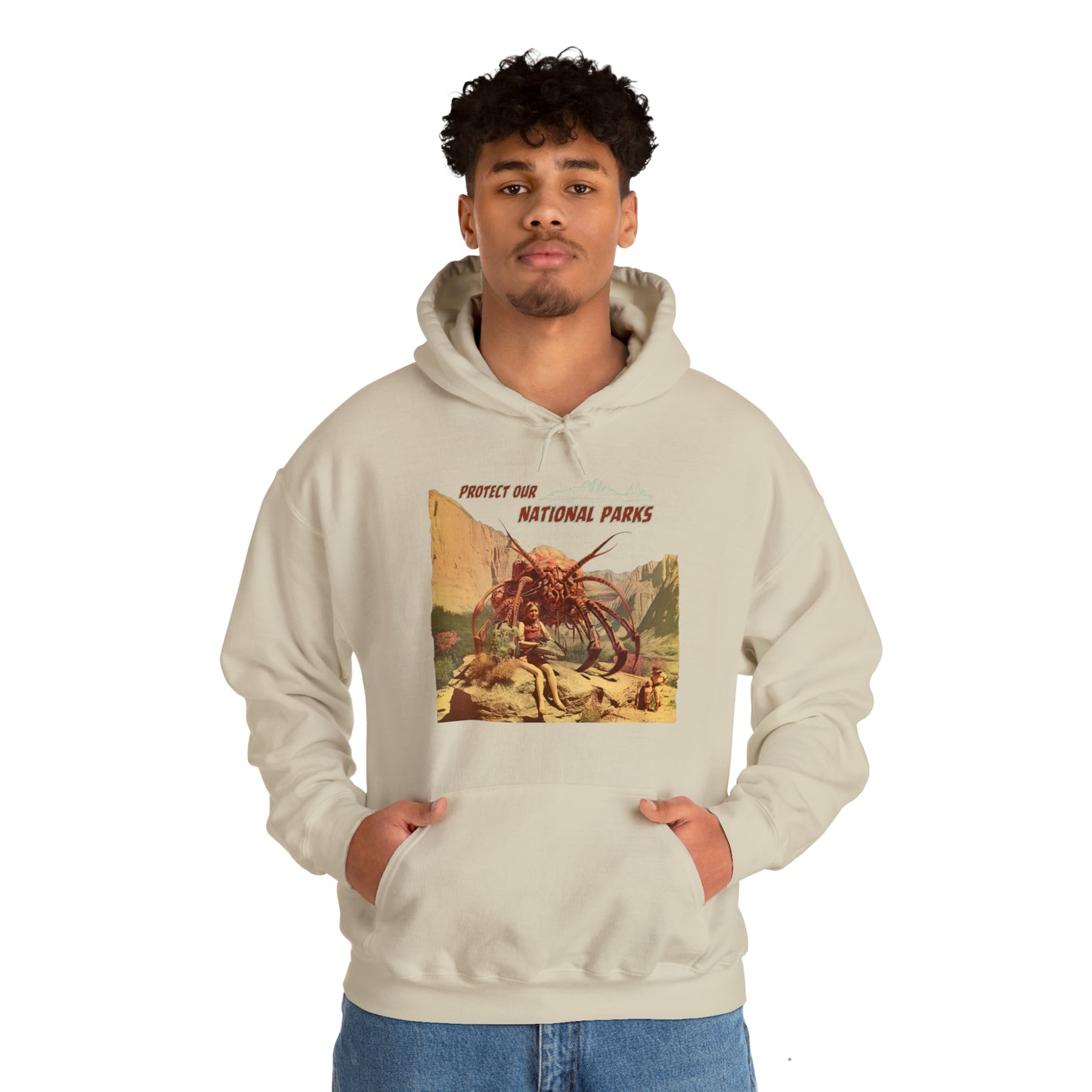 Protect Our National Parks I Pullover Hoodie