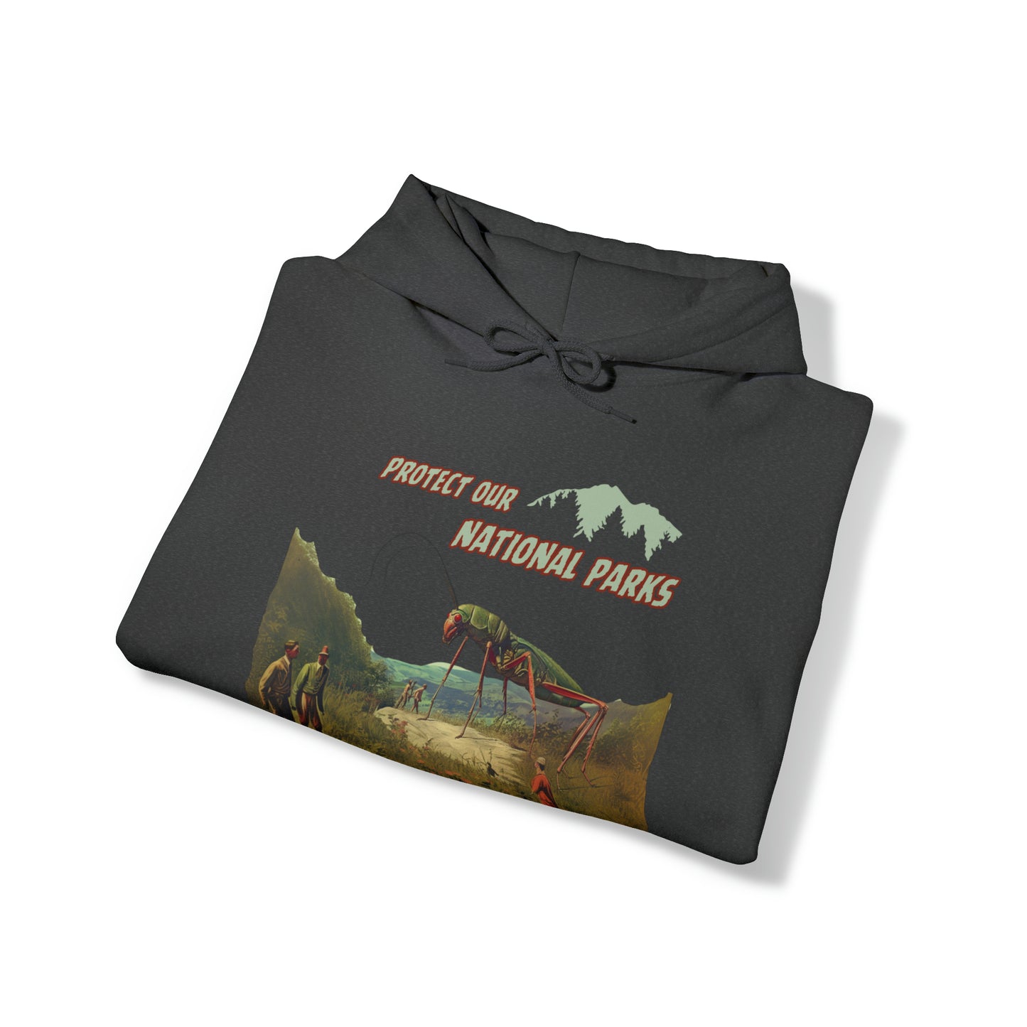 Protect Our National Parks II Pullover Hoodie