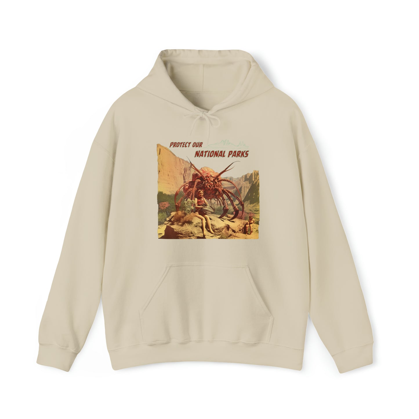 Protect Our National Parks I Pullover Hoodie