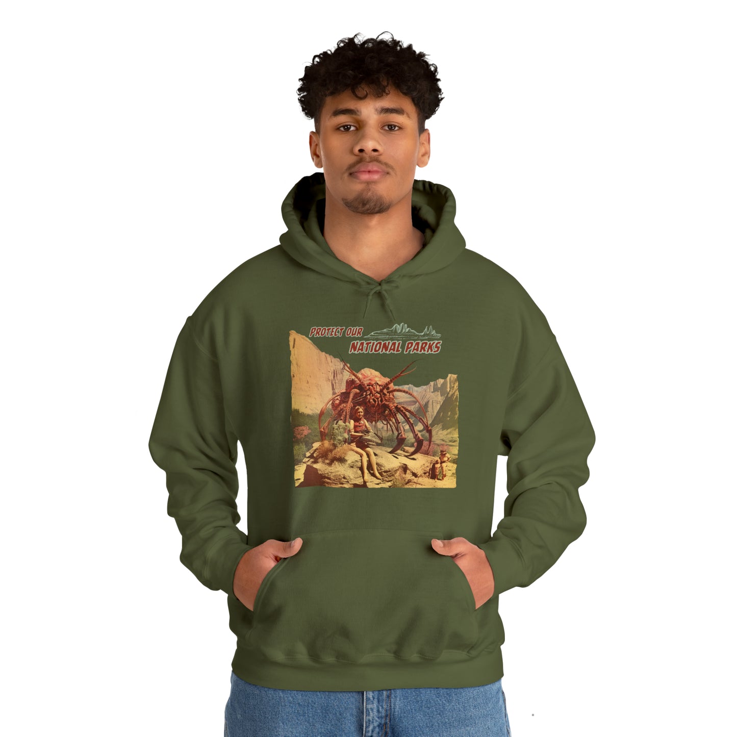 Protect Our National Parks I Pullover Hoodie