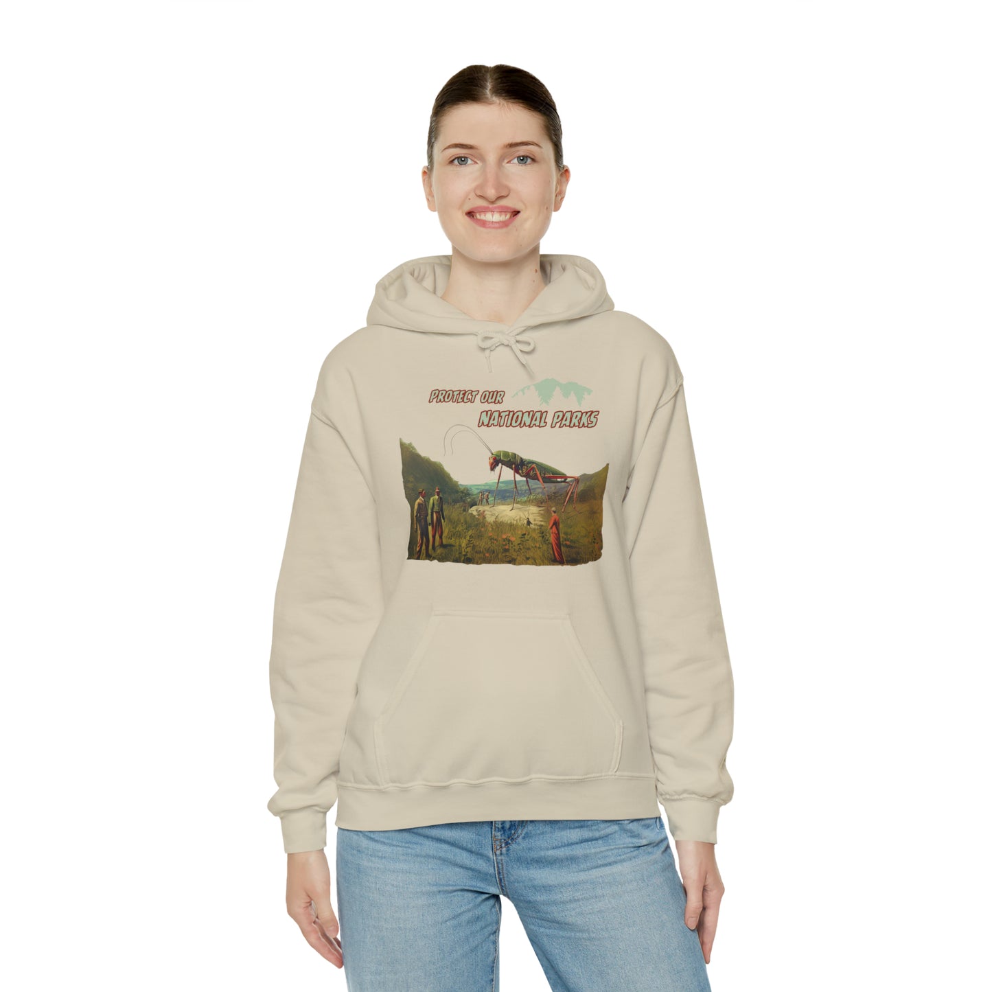 Protect Our National Parks II Pullover Hoodie