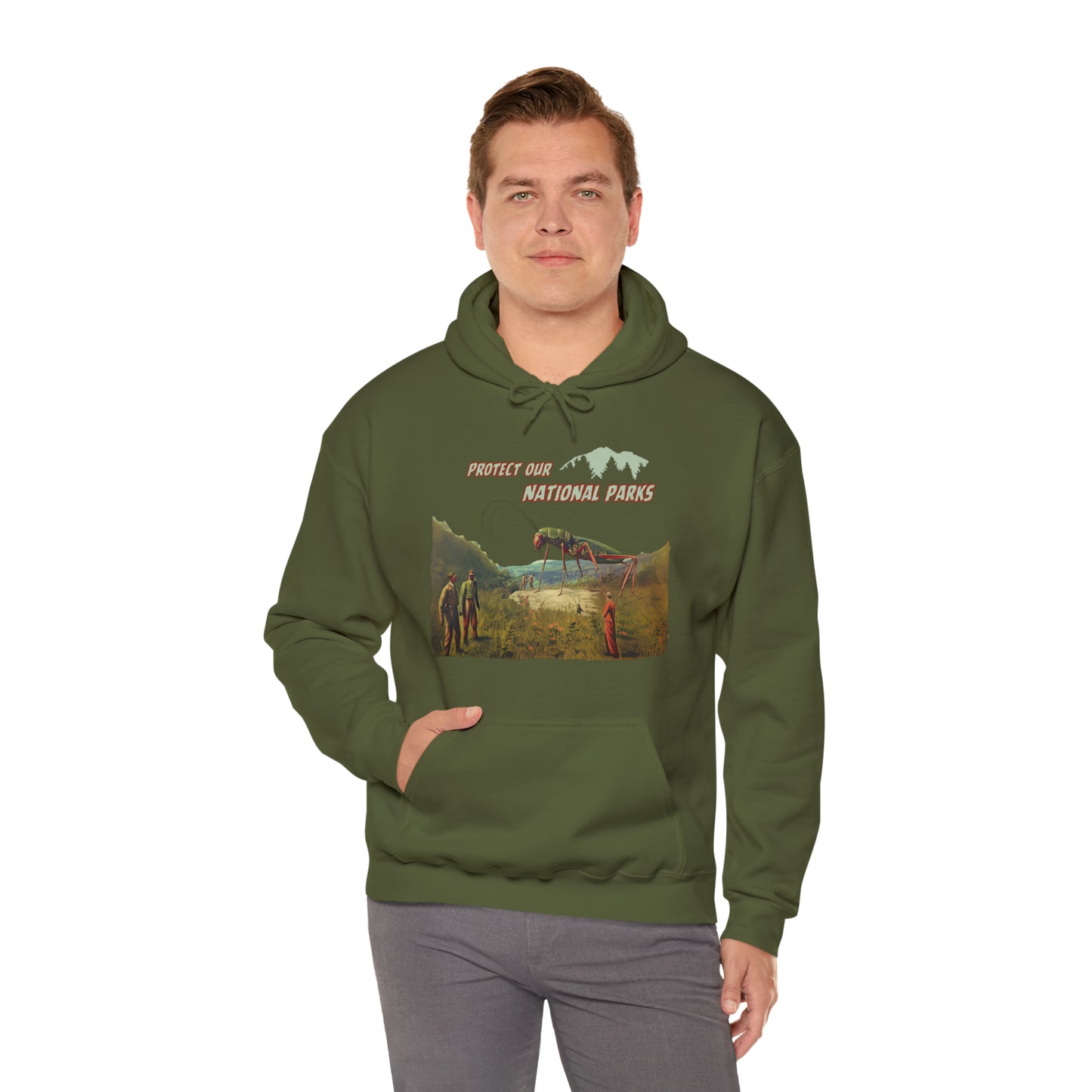 Protect Our National Parks II Pullover Hoodie