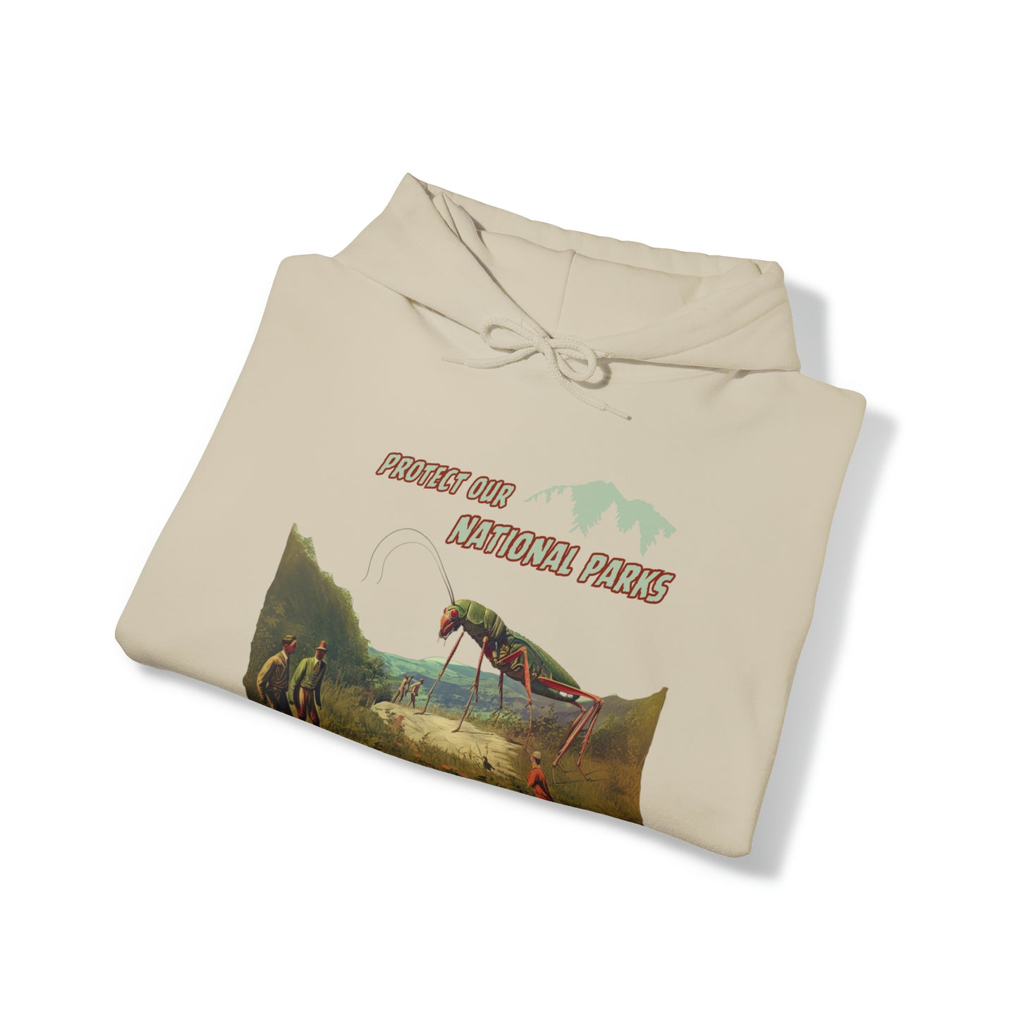 Protect Our National Parks II Pullover Hoodie