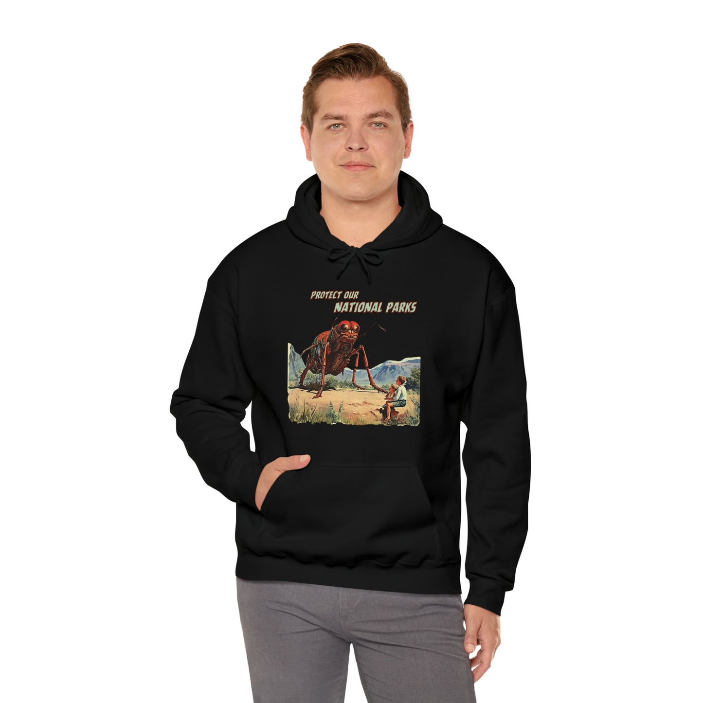 Protect Our National Parks III Pullover Hoodie