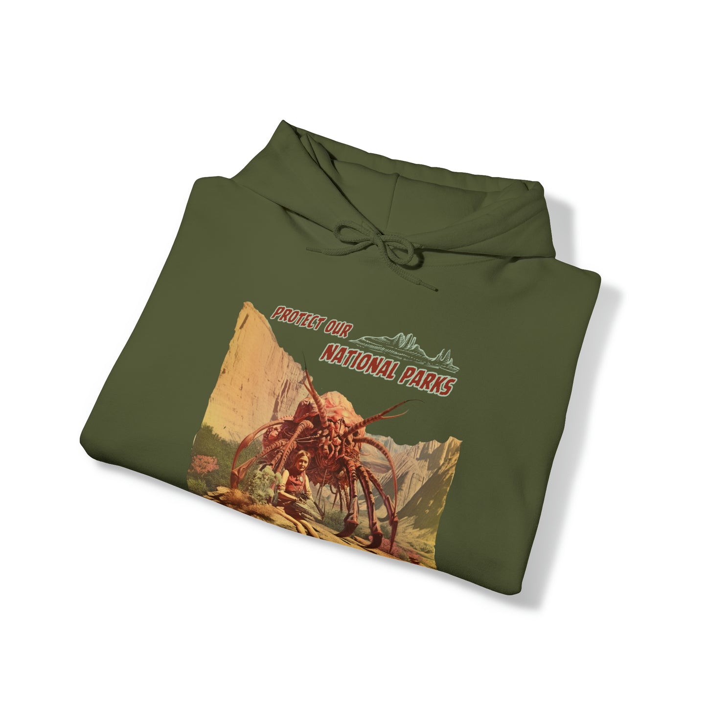 Protect Our National Parks I Pullover Hoodie