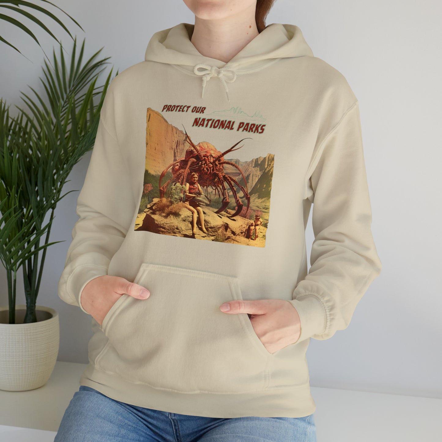 Protect Our National Parks I Pullover Hoodie