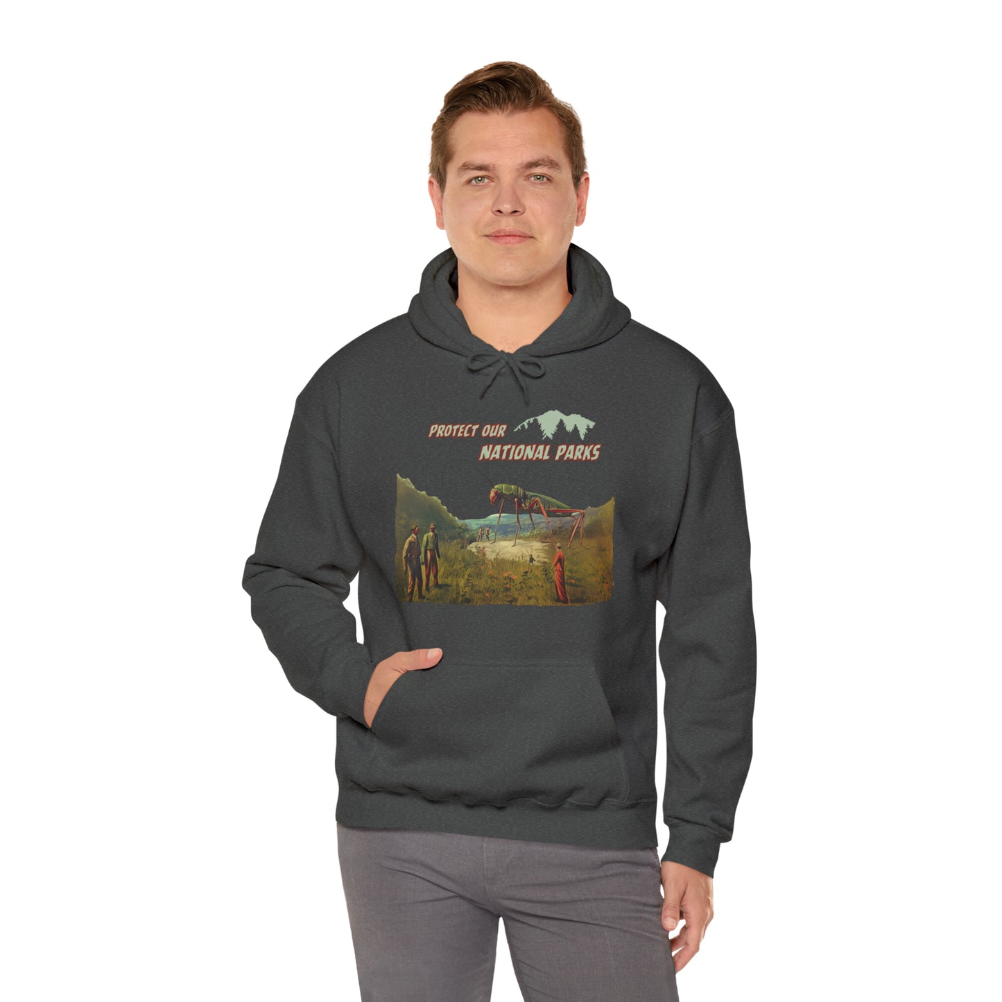 Protect Our National Parks II Pullover Hoodie