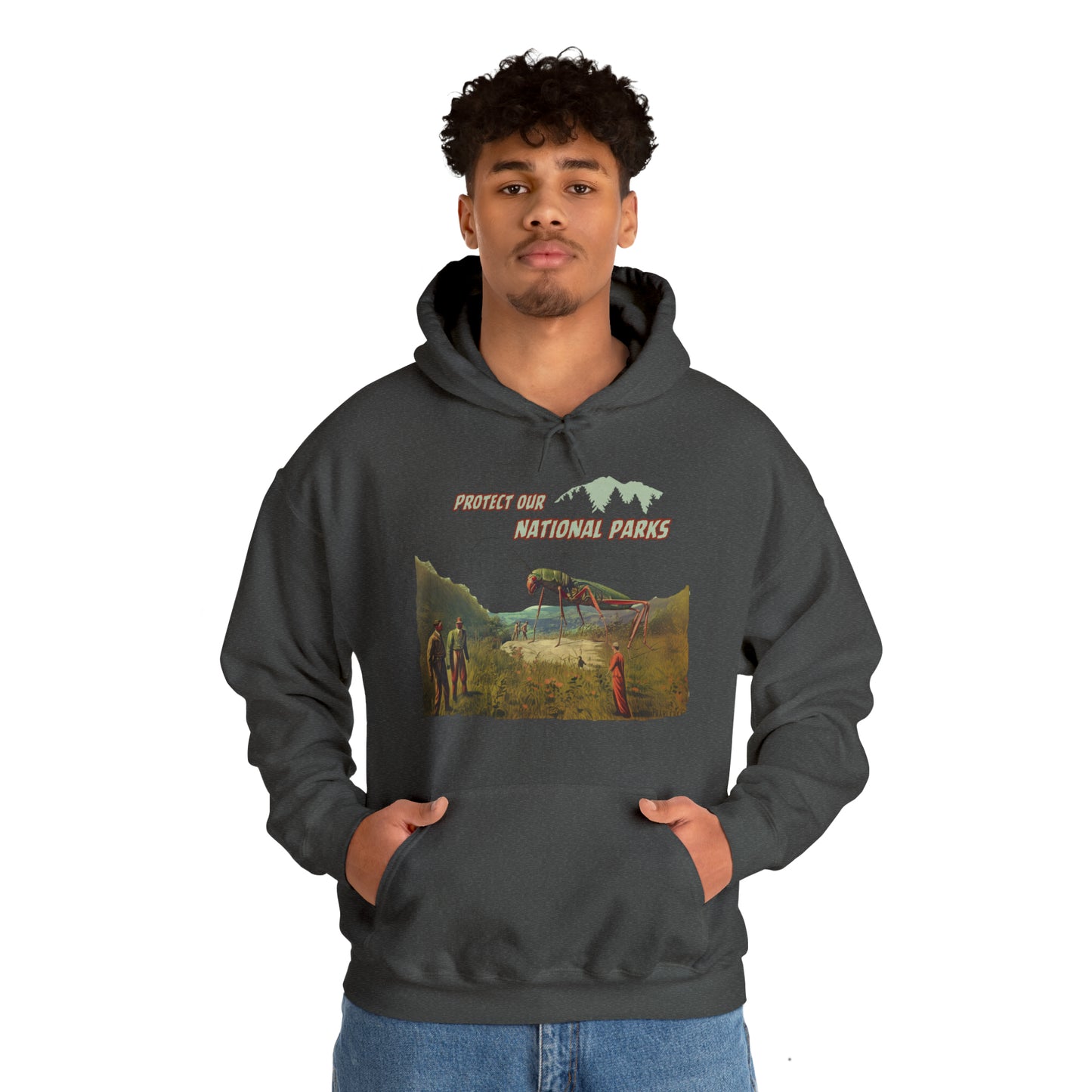 Protect Our National Parks II Pullover Hoodie