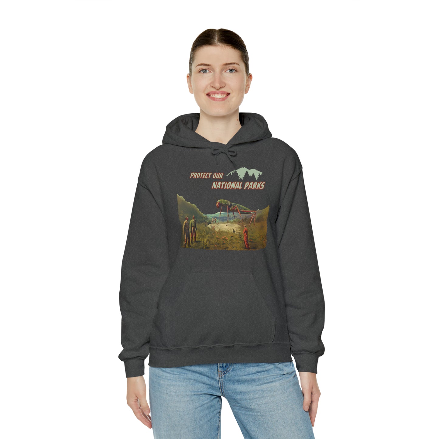 Protect Our National Parks II Pullover Hoodie