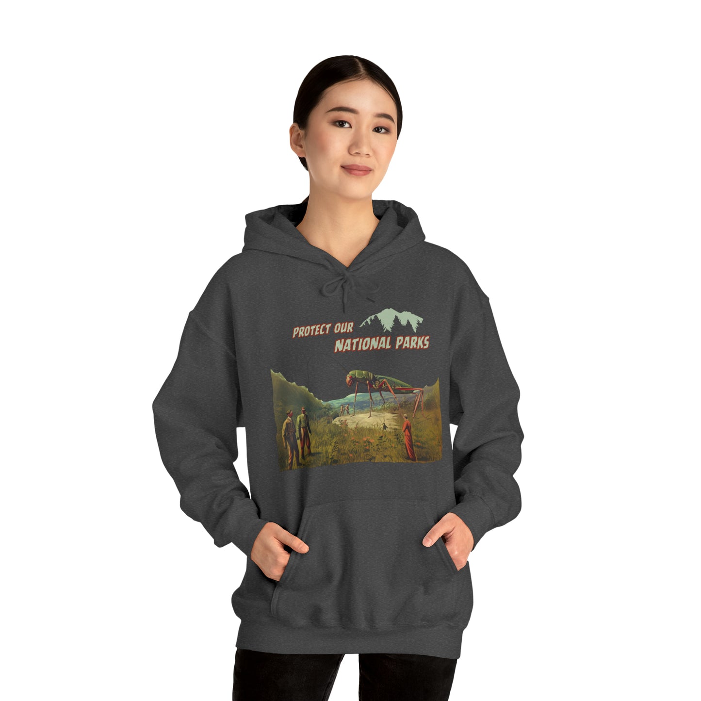 Protect Our National Parks II Pullover Hoodie