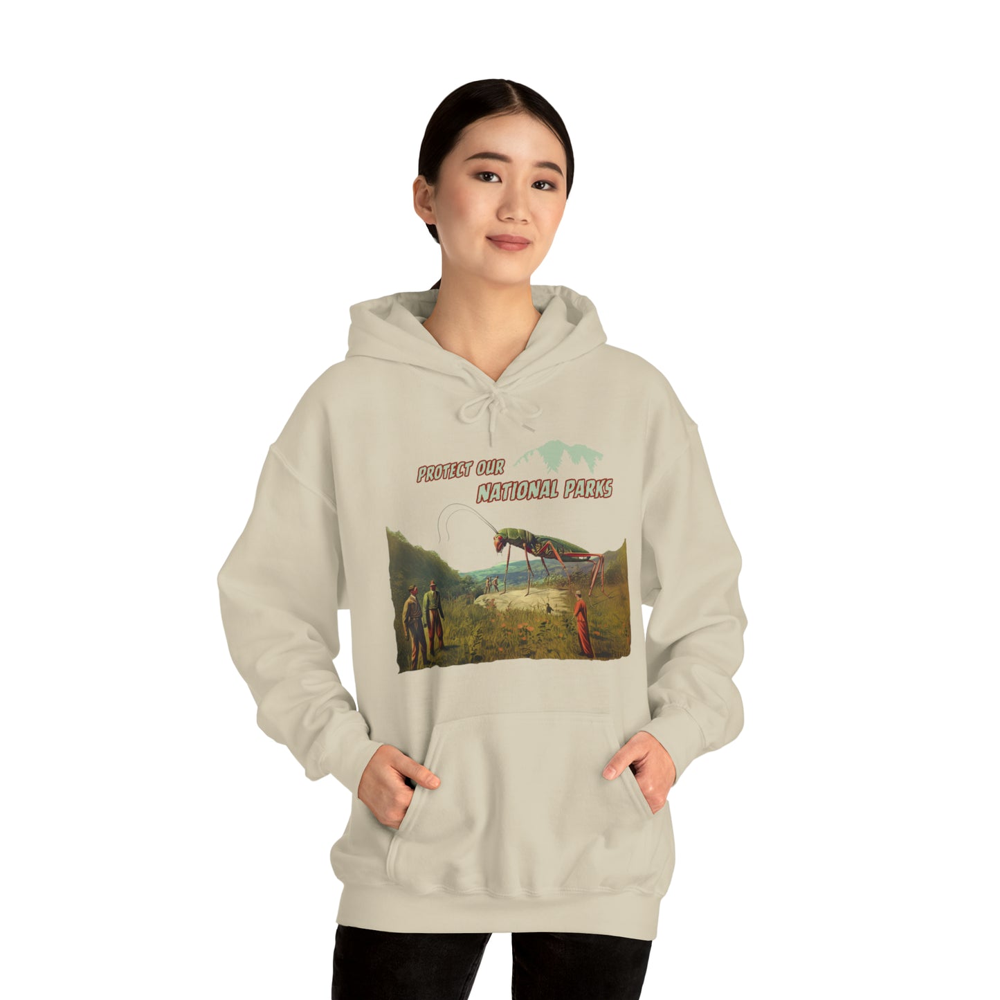 Protect Our National Parks II Pullover Hoodie