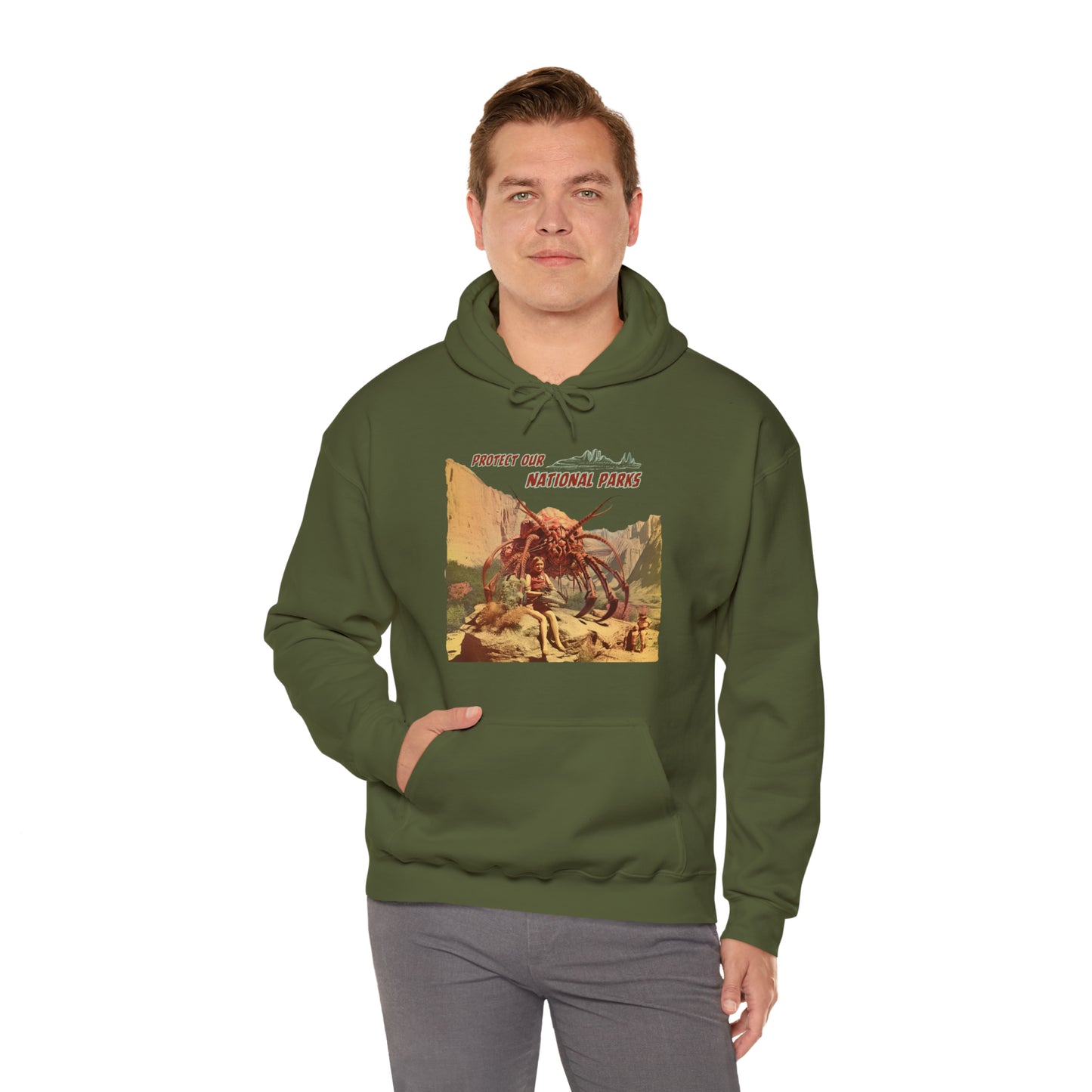 Protect Our National Parks I Pullover Hoodie