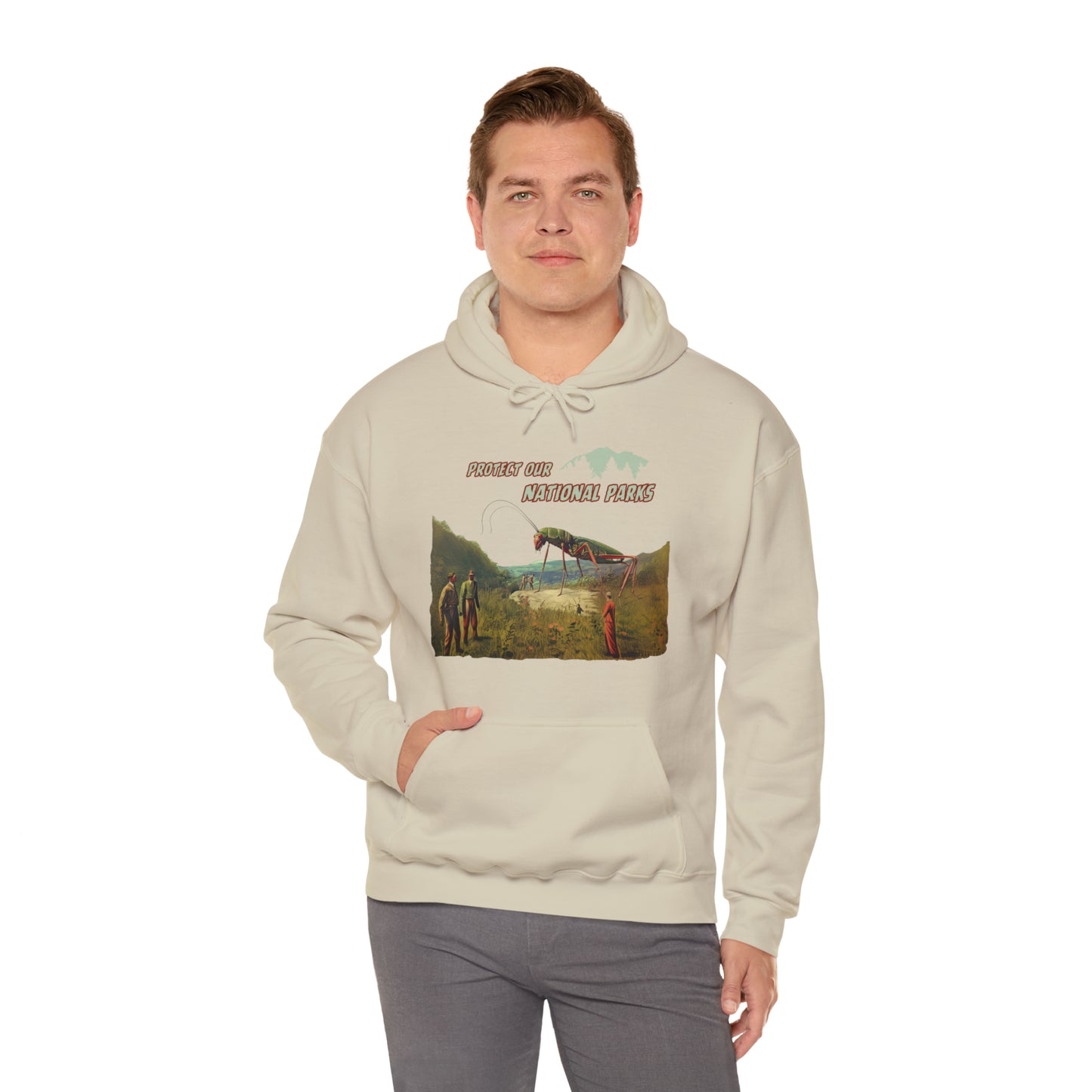 Protect Our National Parks II Pullover Hoodie