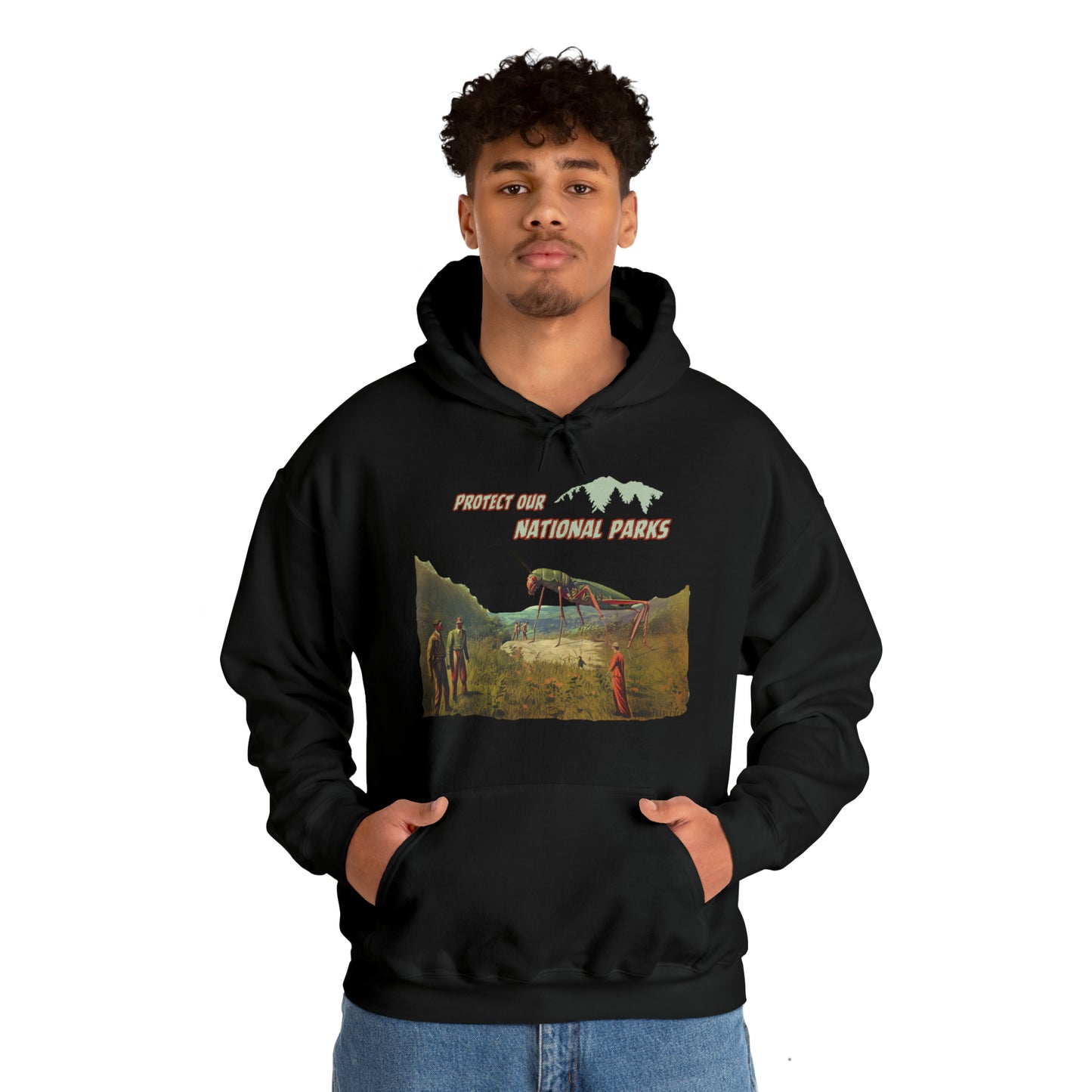 Protect Our National Parks II Pullover Hoodie