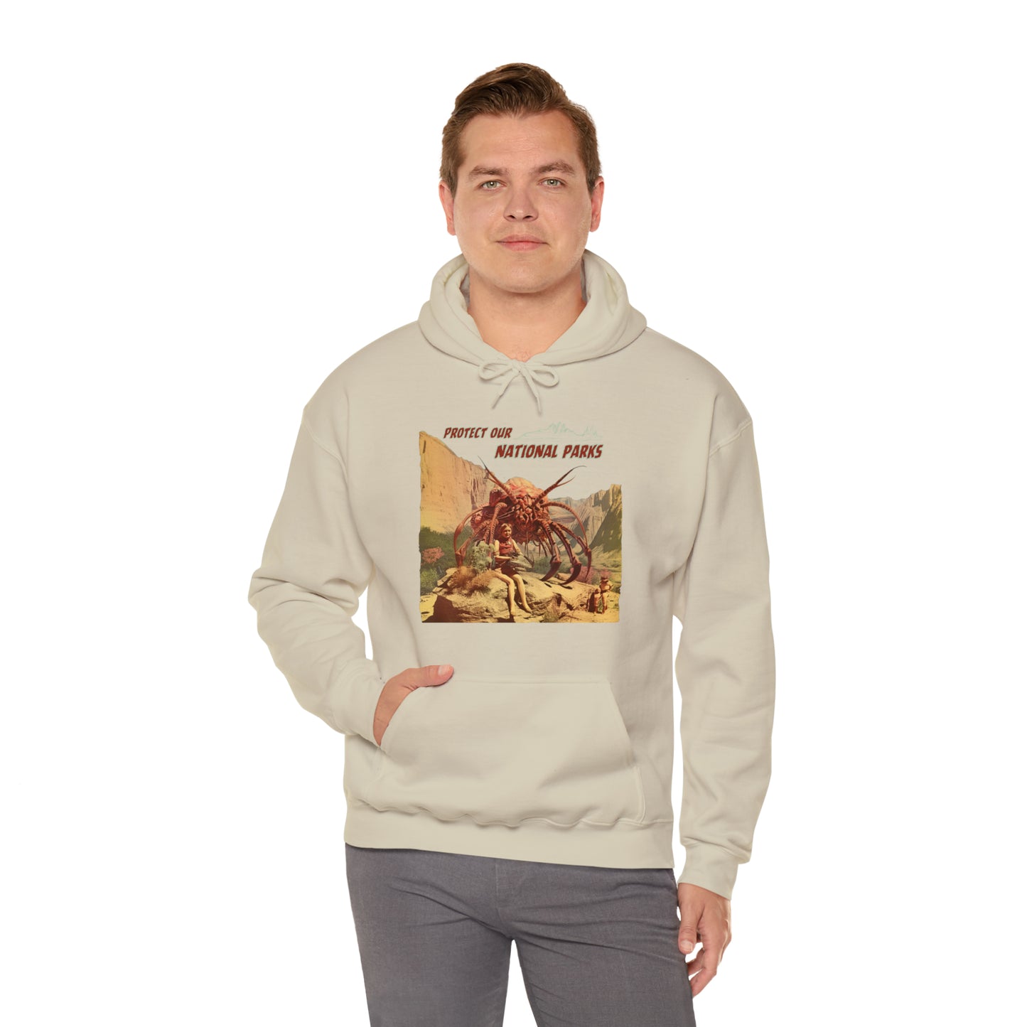 Protect Our National Parks I Pullover Hoodie